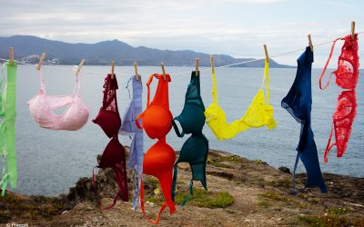 Die Brust: Wissen statt Kategorisierung und Bewertung