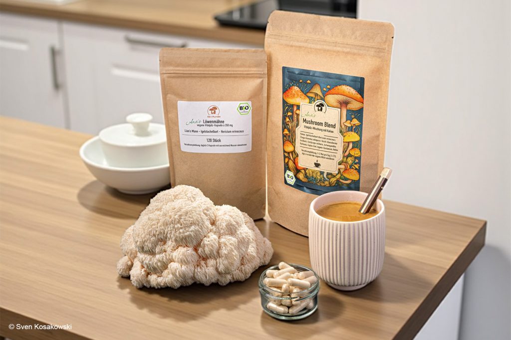 Verschiedene Pulver und Kapseln, hergestellt aus einem Pilz namens Hericium erinaceus - deutschen Name "Löwenmähne"